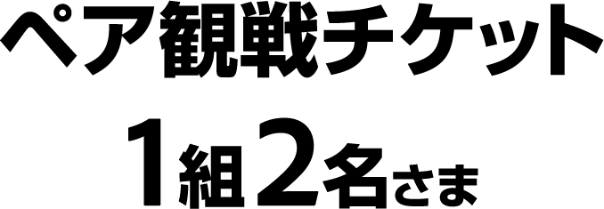 ペア観戦チケット 1組2名さま