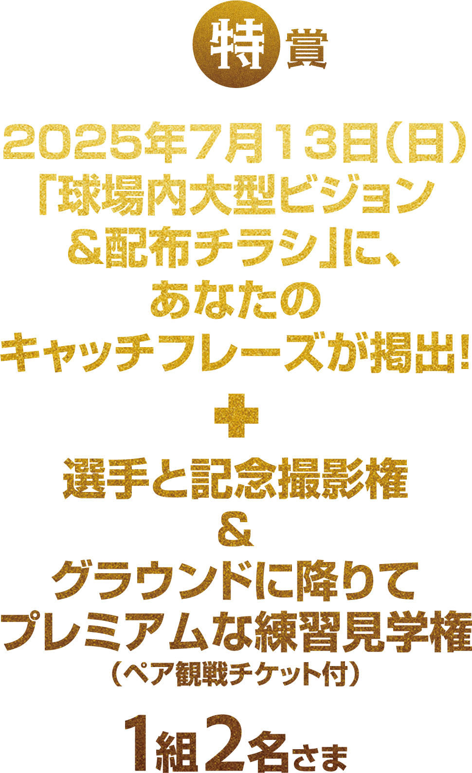 特賞 2025年7月13日（日）「球場内大型ビジョン&チラシ」に、あなたのキャッチフレーズが掲出！ + 選手と記念撮影権&グラウンドに降りてプレミアム練習見学権（ペア観戦チケット付） 1組2名さま