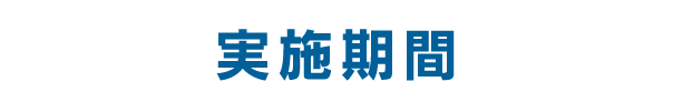 実施期間