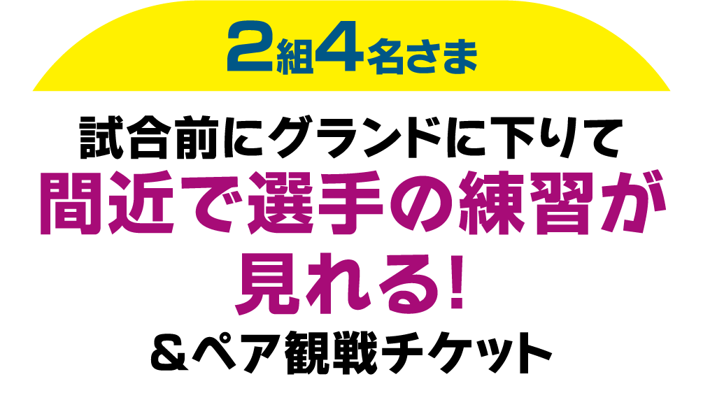 2組4名さま 試合前にグランドに下りて間近で選手の練習が見れる！ &ペア観戦チケット